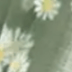 Grass Green