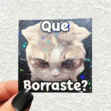 你擦掉了什么？困惑猫咪贴纸，趣味表情装饰贴纸 - 防水乙烯基贴纸，耐用哑光表面，自粘式，适用于汽车、窗户、笔记本电脑、卡车、瓶子 - 多用途耐用设计，汽车贴花 - 乙烯基 - 查看 1