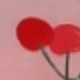 Hồng