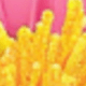 Nhiều màu