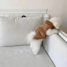 1pc Pet Fur Lining Padded Coat With Leash, Suitable For Extra Small & Medium Dogs And Cats, For Outdoor Use - Brown - View 3