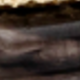 màu đen
