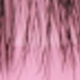 màu đen