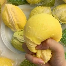 Đồ chơi giảm căng thẳng, Đồ chơi bóp hình nửa quả sầu riêng sống động như thật, Đồ chơi bóp trái cây bằng gel mềm không vỡ, Bóng giảm căng thẳng đàn hồi chậm, Đồ chơi giảm căng thẳng cho văn phòng và học tập, Quà tặng nhỏ - Nhiều màu - Xem 3