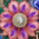 彩色