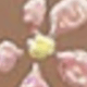 彩色