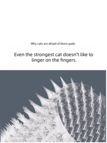 New Transparent Drive Anti-Cat-And-Dog-Crawling Mat, Protective Sofa Protects Plants, Cats And Dogs, Barbed Wire Mat In The Restricted Area, Plastic Home Protection Large Isolation Mat. - A - View 3