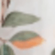 trắng