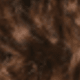 S4