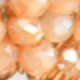 Champagne