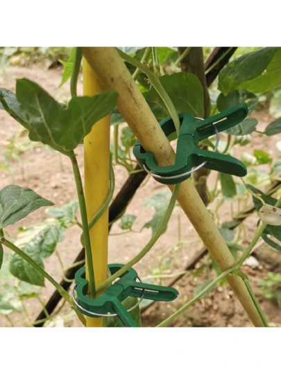 10pcs Garden Trellis Clips, Plastic Plant Fixing Clips For Tomato, Cucumber, Bean, Greenhouse Vegetables, Fruits, Flowers, Garden Gardening Accessories