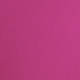 Rosa Fucsia