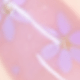 彩色