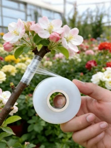 Fruit Tree Grafting Film, PE Wound Dressing For Grafting Fruit Trees, Green Plants, Succulents And More - A - View 6