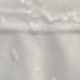 trắng