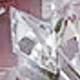 trắng