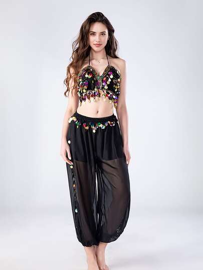 2pcs/Set Arabian Style Sequin Coin Belly Dance Costume, Women's Camisole Top + Split Harem Pants, Suitable For Carnival Performance Stage Show (Multiple Colors Available)