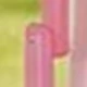 Watermelon Pink