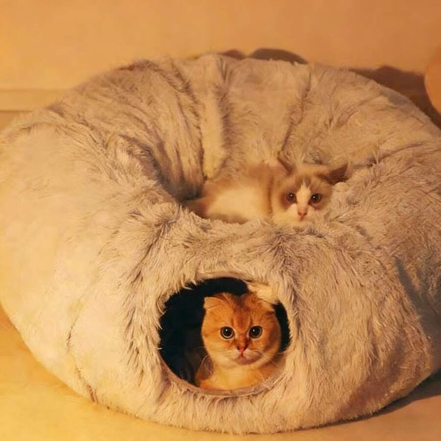 Túnel de cama de peluche para gatos con cojín, túnel de juego para mascotas de peluche suave y multifuncional, desmontable y lavable, ayuda a promover un sueño profundo - Multicolor - Ver 1