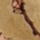 Màu be