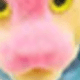 狗