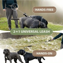 Hands-Free 2-In-1 Pet Leash, Reflective Elastic Pet Leash, Outdoor Sports Running Dog Leash - Retractable, Thickened Foam Handle, Anti-Pull Pet Leash - Multicolor - View 5