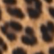 Animal Print