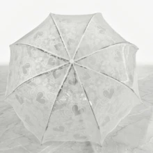 一款透明花卉图案雨伞，有多种图案和颜色可选。适用于学校、办公室、家庭、旅行和返校季。男女通用。（不同批次雨伞的伞面布料、伞骨颜色、字母图案、纽扣形状和伞骨颜色可能存在随机组合，由此造成的不便，我们深表歉意。） - 阿波羅系列 - 查看 19