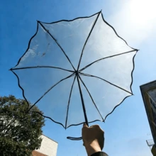 一款透明花卉图案雨伞，有多种图案和颜色可选。适用于学校、办公室、家庭、旅行和返校季。男女通用。（不同批次雨伞的伞面布料、伞骨颜色、字母图案、纽扣形状和伞骨颜色可能存在随机组合，由此造成的不便，我们深表歉意。） - 阿波羅系列 - 查看 17