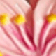 Nhiều màu