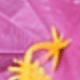 Nhiều màu