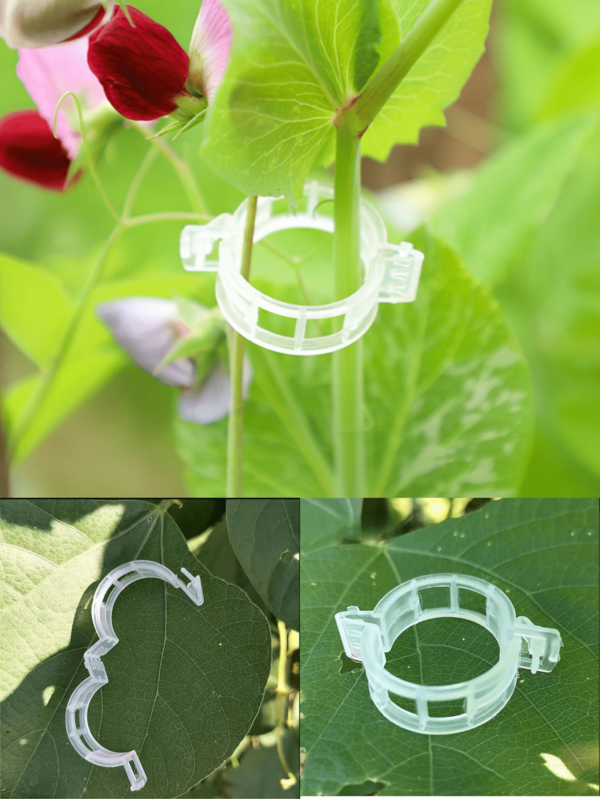 100,50,30,10pcs Vine Fixed Buckle Ring, Tomato, Cucumber, Bean, Pepper, Eggplant And Other Plant Seedlings Hanging Buckle Ring,