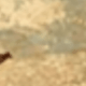 1PC