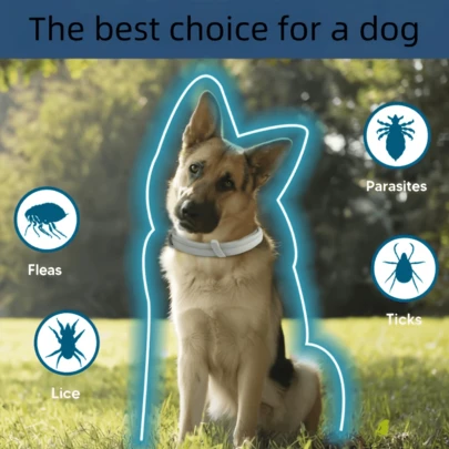 1 vòng cổ làm dịu cho chó, không chứa chất phụ gia hóa học hay thuốc trừ sâu, hiệu quả kéo dài 8 tháng, kích thước có thể điều chỉnh phù hợp với chó nhỏ, trung bình và lớn, vòng cổ chống thấm nước | Vòng cổ có thể điều chỉnh | Vòng cổ cho chó | Vòng cổ cho mèo | Phụ kiện cho chó