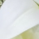 trắng
