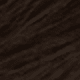 S2