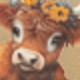 Multicolored Highland Cattle