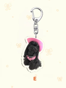 1件/7件套可爱亚克力宠物钥匙扣套装，包含贵宾犬、黑白（奶牛）猫和仓鼠，饰有应援棒和应援图案，可爱包包配饰，趣味饰品，宠物爱好者、ARMY和STAY粉丝的完美礼物，适合装饰背包、手机和钥匙，也是送给母亲、父亲、毕业生和老师的理想礼物。 - 彩色 - 查看 7