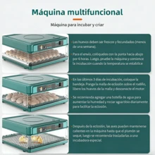 Egg Handling Supplies - US A Type Plug(110-127V) - View 6