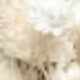 White Green 1
