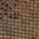 Euramerican Brown