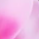 Hồng