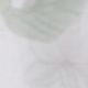彩色