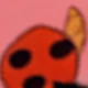 Ladybug Cat and Daisy