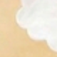 彩色