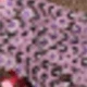 Mauve Purple