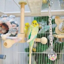 Juguete para loro, bola de cuentas de colores, sonajero para masticar, bola de pompones de peonía, decoración colgante de enriquecimiento para cacatúa, para trepar - Ver 4