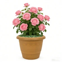 Plastic Flower Pots For Succulents, Potted Plants, Potted Plants For Pothos And Orchids, Brown, Thickened, Durable, Suitable For Indoor Balcony Gardening Plants. - A - View 2