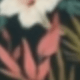 多色