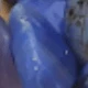 Blue Agate 1